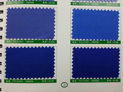 SD-DGYE   滌棉紗卡  T/C  21*21  108*58 細節-10